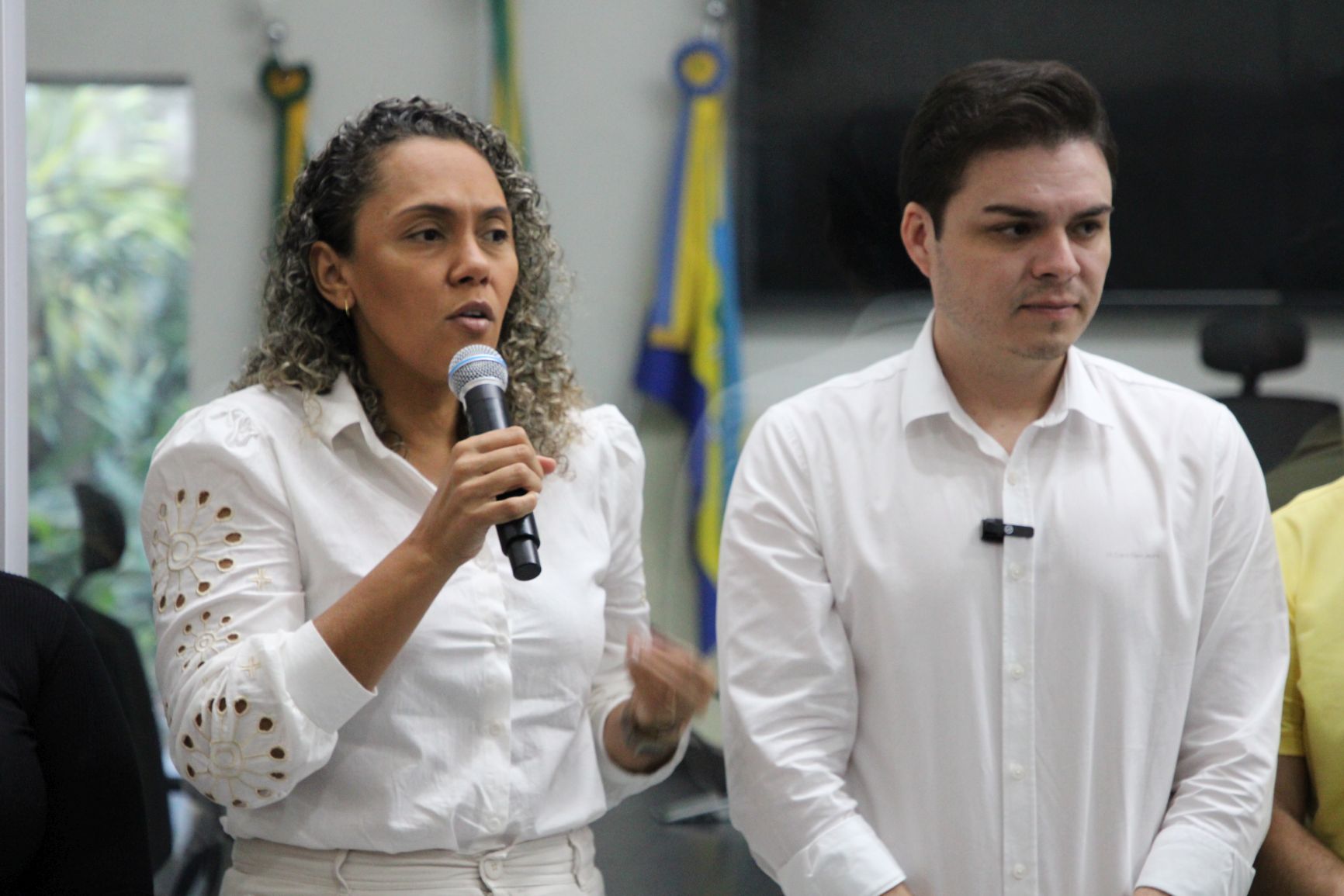 2025-01-29 e 30 - Curso regimento interno