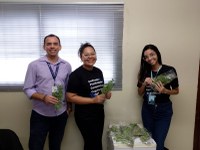 Câmara de Parnamirim promove ações de sustentabilidade com distribuição de hortaliças 